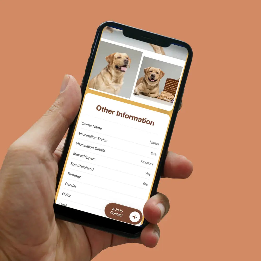 Mini Pet Tag - Design Your Own