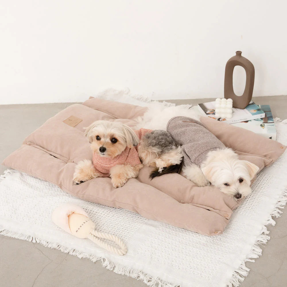3-in-1 Cushion Bed