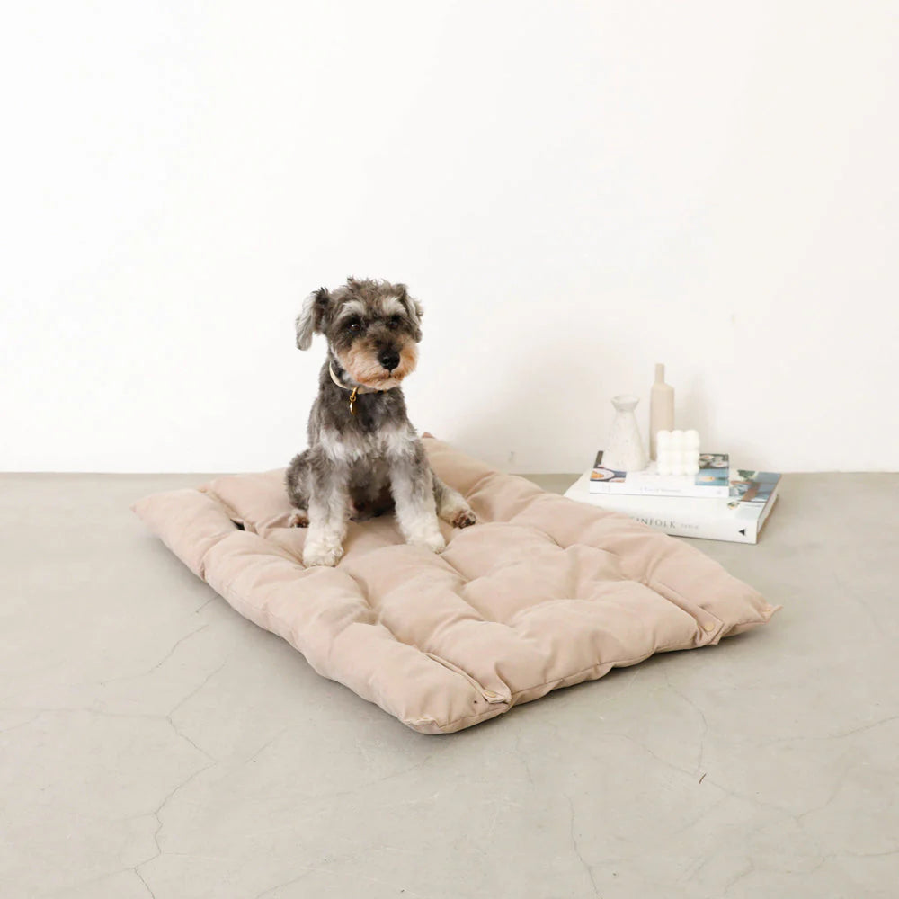 3-in-1 Cushion Bed