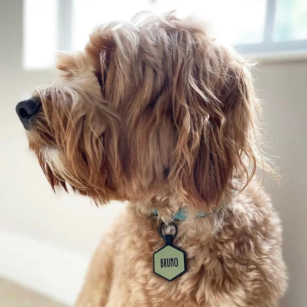 Standard Pet Tag - Design Your Own