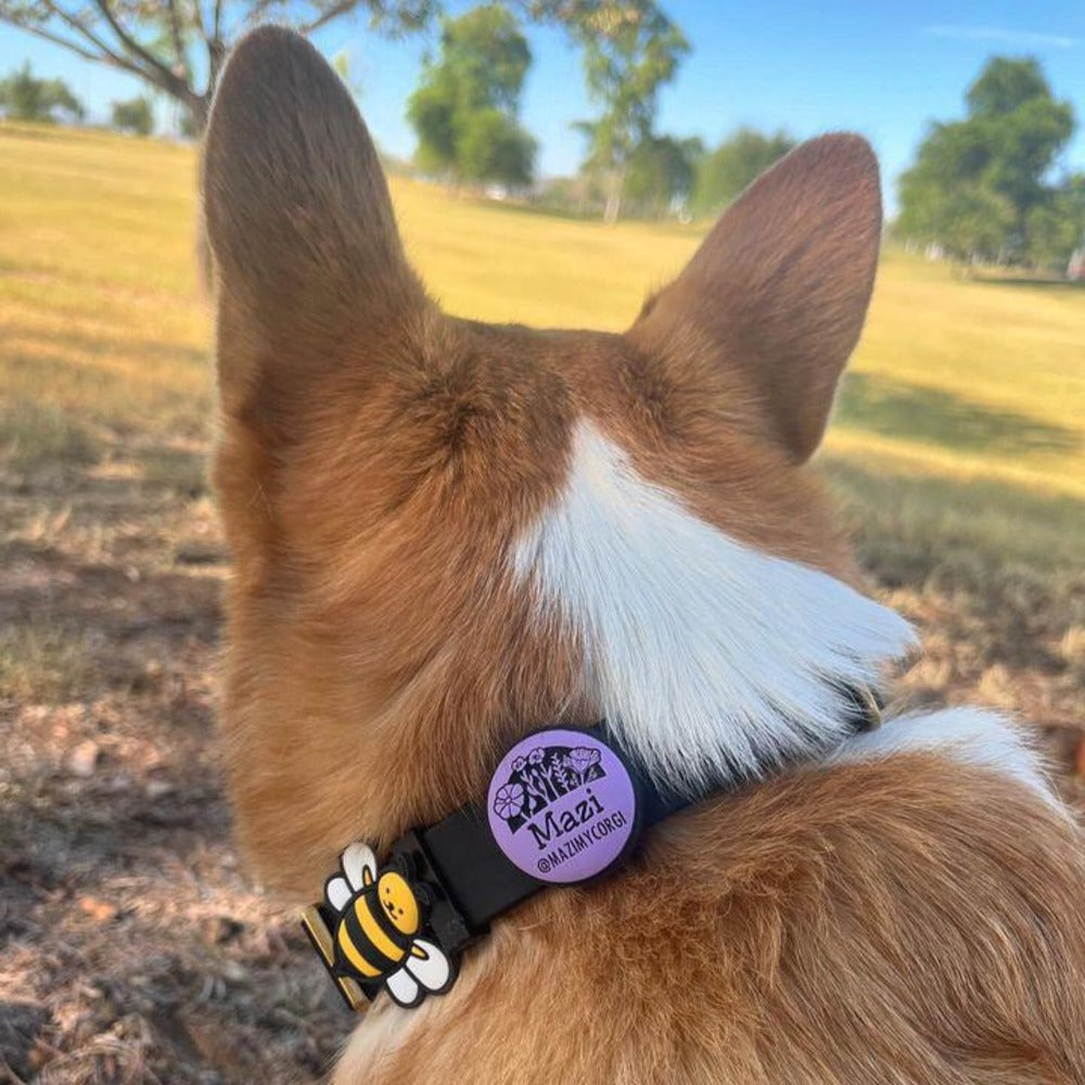 Slide On Pet Tag - Design Your Own