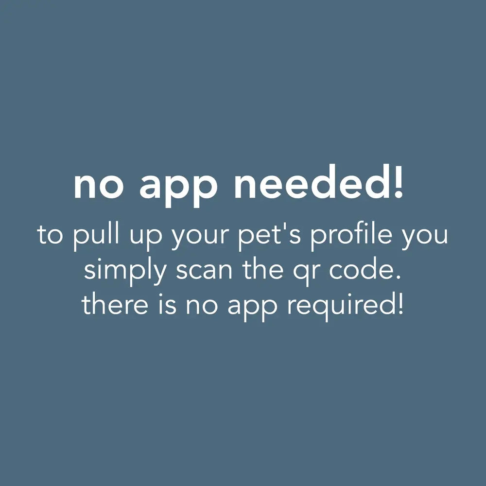 Mini Pet Tag - Design Your Own
