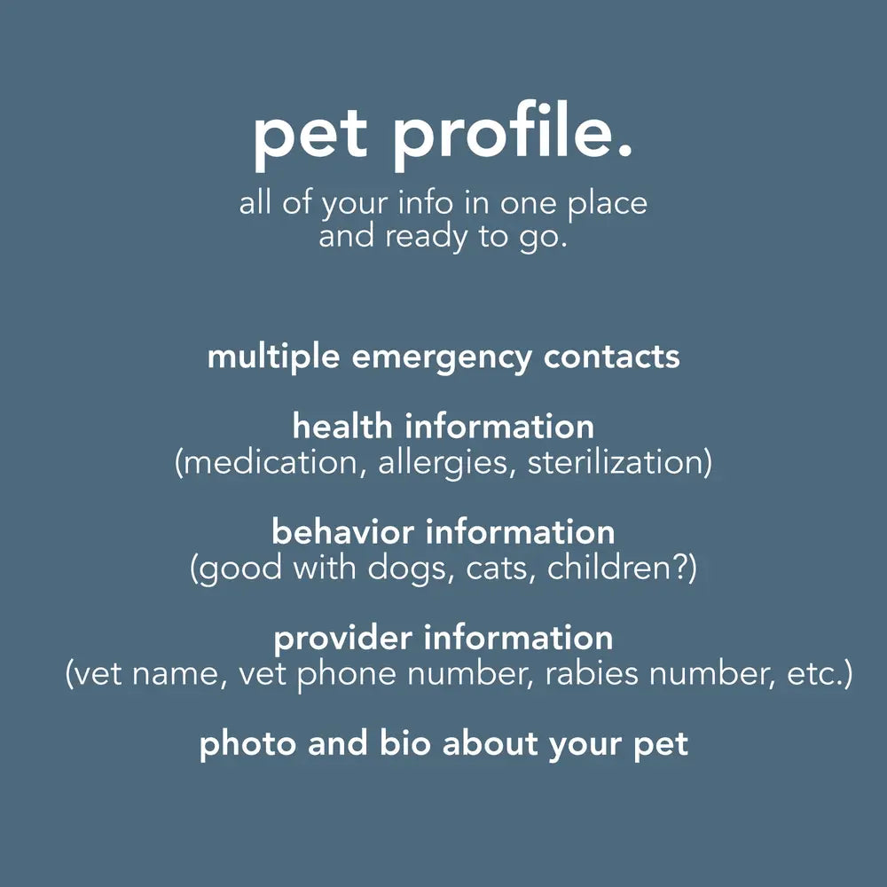Mini Pet Tag - Design Your Own