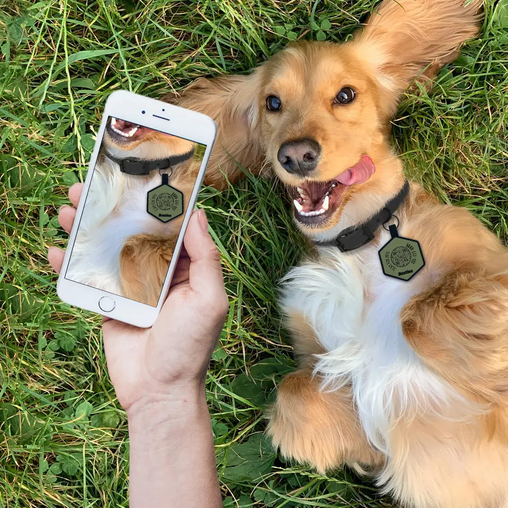 Mini Pet Tag - Design Your Own